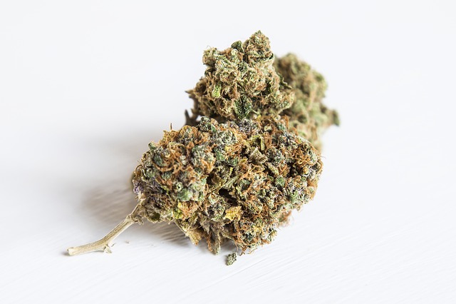 weed use